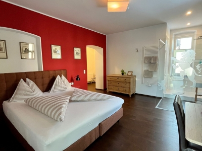 Die Zirkusprinzessin.jpeg